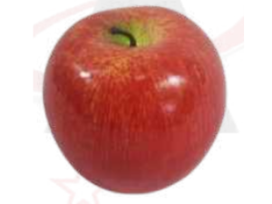 ENFEITE DECOR MAÇÃ 08CM