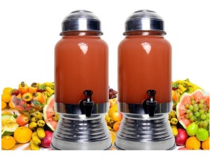 SUQUEIRA DE VIDRO 3L